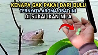 UMPAN IKAN NILA INI TERNYATA AMPUHCampuran Lumut [upl. by Stoller183]