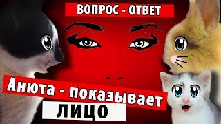 кот Малыш котенок Мурка кролик Баффи в рубрике ВОПРОС ОТВЕТ  А НУ КА ДАВАЙ КА ПОКАЗЫВАЕТ ЛИЦО [upl. by Aramoiz]