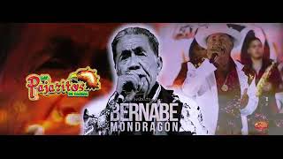 Con la Tierra Encima  Arkangel Musical 2020 Tributo A Bernabé Mondragón [upl. by Mcafee]