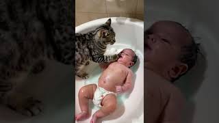 Cat bathes baby [upl. by Sontag459]