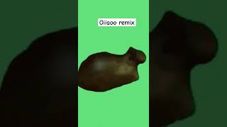 Oiiaoo spinning cat remix cats memes originalsong [upl. by Lewan708]