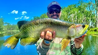 Fishing for Saratoga on Surface in Northern Australia [upl. by Eninnej]