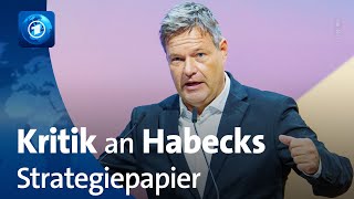 Habecks Wirtschaftspläne wohl kaum mehrheitsfähig [upl. by Drannek]