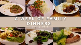 WEEK 71 FAMILY DINNERS OF THE WEEK  family of eight evening meal ideas meal plan🍝🥙 [upl. by Grounds267]