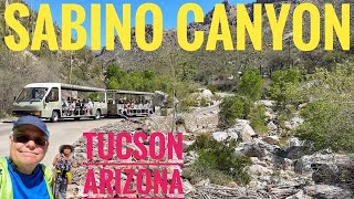 SABINO CANYON  TUCSON  ARIZONA  NICE TRAM RIDE  BEAUTIFUL WALK WITH RELAXING SOUND OF WATER [upl. by Susie]