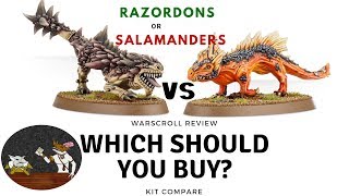 Salamanders vs Razordons AoS Kit Compare [upl. by Romeon732]