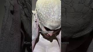 Kim Kardashian as an albino alligator  Celebrity Halloween Costumes 2024 [upl. by Cathryn]