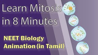 Tamil NEET Biology Animation Mitosis  Cell cycle and cell division [upl. by Oryaj484]