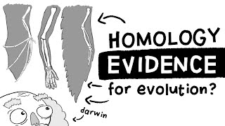 Is Homology Evidence for Evolution Long Story Short Ep 1 [upl. by Perseus]