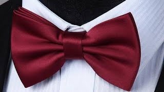 2 TUTORIAL DE GRAVATA GRAVATA BORBOLETA FEITA COM UMA GRAVATA NORMAL 👔🦋 [upl. by Hapte]