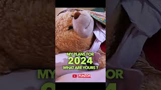 Happy New Year Lo Ji  Funzoa Teddy Video Wishes Happy New Year With A Funny Hindi Song [upl. by Combe941]