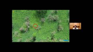 Quantifying Invasive Species Using Aerial Imagery amp Artificial Intelligence [upl. by Ashley]