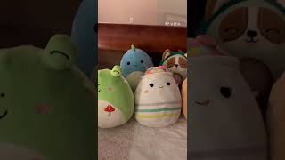 Squishmallo collection this isn’t even all of them squishmallow squishmallowsquad capcut [upl. by Phira332]