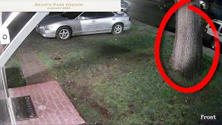 Security Cam Captures Exact Moment Tree Smashes House [upl. by Imeka]