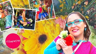 Mucho COLOR en la Batalla de las FLORES  Carnaval de Niza 2020  Charcotrip [upl. by Ylreveb]