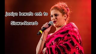 Janiyan Bewafa Hayen ToNaseebo Lal Dj ChinoSlowedReverb [upl. by Ira710]