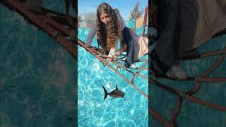 Flooded Playground Kids Pretend Play with Sharks 🛝Floor is water playground kidsvideos [upl. by Nylyram303]