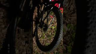 Reviewing my Scott Scale 970 in 60 Seconds [upl. by Fabozzi]