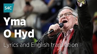 Yma o Hyd  Dafydd Iwan  Dafydd Iwan sings Yma o Hyd with lyrics and English translation  S4C [upl. by Nahttam]