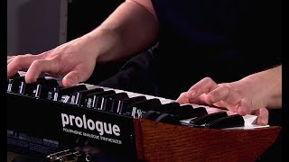 Korg Prologue  All Playing No Talking [upl. by Aretina3]