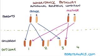 Understanding Autosomal Dominant and Autosomal Recessive Inheritance [upl. by Daj]