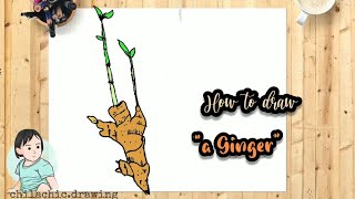 How to draw a Ginger  ginger plant [upl. by Irab]