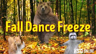 Fall Dance Freeze  Brain Break Workout Game [upl. by Higgins]