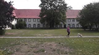 Kloster Wöltingerode  Harz [upl. by Anes903]