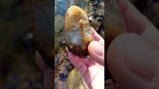 I´m here to kmake it someday Rare Stones 🌊 walk with my Dog nature asmr water river crystals [upl. by Ymor]