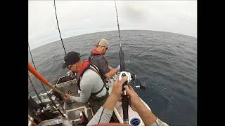 Lumacat Shimano and Sportco Westport Tuna Trip July 2017 [upl. by Vona71]