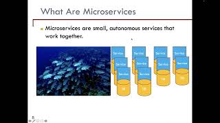 Onur Demirors  Eventbased Size Measurement for Reactive Microservicebased Systems [upl. by Elleinad]