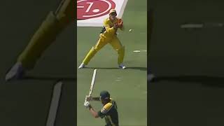 McGrath Vs Inzamam funny cricket trending cricketlover viralvideo [upl. by Platon]