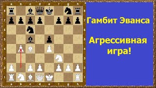 Гамбит Эванса это лучший дебют в 2024 году Тир лист дебютов 2 часть [upl. by Haidadej602]