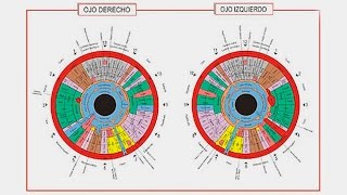 Iriología cómo ver a través del ojo si una persona tiene salud [upl. by Konstantin]