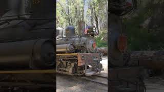 yosemite Yosemite Mountain Sugar Pine Railroad  Scenic Train Ride  Yosemite National Park [upl. by Repmek]