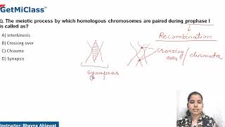 Homologous chromosomes [upl. by Oiromed]