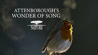 Nature Attenboroughs Wonder Of Song PREVIEW [upl. by Ramsey541]