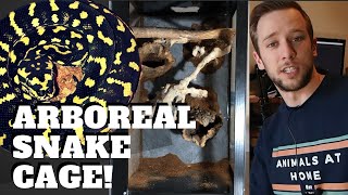 ARBOREAL SNAKE CAGE DIY [upl. by Sutphin]