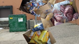 You WONT Believe What This Dumpster was Full Of HUGE Freegan Haul [upl. by Cathrin]