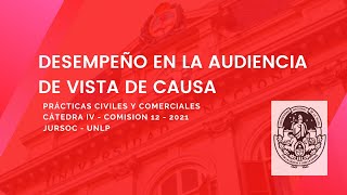 Desempeño profesional en la audiencia de vista de causa [upl. by Henden]