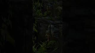 Secreto 1  El Valle Perdido laracroft tombraider gaming games gameplay playstation [upl. by Dielu872]