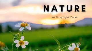 Beautiful Nature  Landscape  Background Video  No Copyright [upl. by Melgar42]