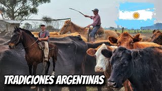 DOS días CAPANDO los TERNEROS y ARREANDO las VACAS a CABALLO 🇦🇷 CASTRANDOYERRA [upl. by Latonia832]