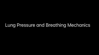 Lung Pressures and Breathing Mechanics [upl. by Lodmilla]