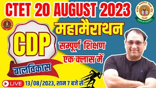 CTET 20 AUGUST 2023  CDP बाल विकास Complete Marathon for CTET  CTET CDP Marathon  CDP BY RP SIR [upl. by Akcir]