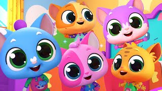 Five Little Kittens Song And Animal Cartoon Video by The Five Little Show [upl. by Hausner]