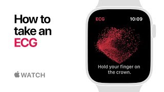 Apple Watch Series 4 — How to take an ECG — Apple [upl. by Sebastien578]