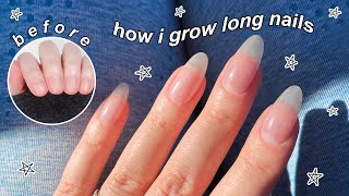 HOW I GROW LONG NATURAL NAILS  The Beauty Vault [upl. by Small]