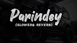 Parindey Yaar Slowed Reverb song Haryanvi Lofi song slowed [upl. by Malorie]