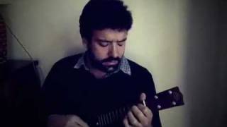 Miguel Araújo  Os maridos das outras versão ukelele [upl. by Nitsuj]